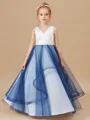 Ball Gown V-neck Floor-Length Tulle Junior Bridesmaid Dresses With Ruffles