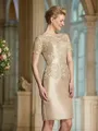 Sheath/Column Bateau Short/Mini Taffeta Mother of the Bride Dresses With Appliques Lace