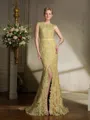 Trumpet/Mermaid Scoop Sweep Train Lace Mother of the Bride Dresses With Lace