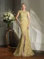 Trumpet/Mermaid Scoop Sweep Train Lace Mother of the Bride Dresses With Lace