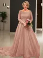 A-Line/Princess Scoop Court Train Tulle Mother of the Bride Dresses With Appliques Lace