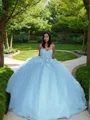 Ball Gown Sweetheart Sweep Train Tulle Prom Dress With Appliques Lace