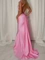 Sheath V-neck Sweep Train Other Corset Prom Dress