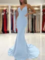 Sheath/Column V-neck Sweep Train Stretch Crepe Prom Dress