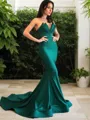 Trumpet/Mermaid V-neck Court Train Stretch Crepe Prom Dress