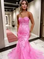 Sheath/Column Sweetheart Court Train Tulle Prom Dress With Appliques Lace