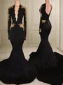Trumpet/Mermaid V-neck Chapel Train Jersey Prom Dress With Appliques Lace