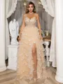 A-Line/Princess Tulle V-neck Appliques Lace Sweep Train Porm Dress