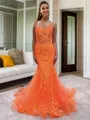 Sheath V-neck Appliques Lace Sweep Train Tulle Corset Porm Dress