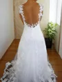 A-Line/Princess V-neck Sweep Train Tulle Wedding Dresses With Appliques Lace