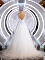 A-Line/Princess V-neck Court Train Tulle Wedding Dresses with Appliques Lace