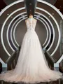 A-Line/Princess V-neck Court Train Tulle Wedding Dresses with Appliques Lace