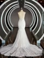 Trumpet/Mermaid V-neck Cathedral Train Tulle Wedding Dresses with Appliques Lace