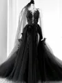 A-line/Princess V-neck Court Train Tulle Wedding Dress with Appliques Lace