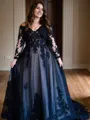 Ball-Gown V-neck Chapel Train Tulle Long Sleeves V Back Wedding Dresses