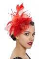 Ladies' Charming Tulle With Feather Tea Party Hats