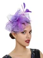 Ladies' Charming Tulle With Feather Tea Party Hats