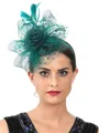 Ladies' Charming Tulle With Feather Tea Party Hats