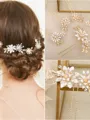 Beautiful Alloy With Flower Combs & Barrettes(5 Pieces)