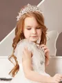 Stunning Alloy With Rhinestone Headbands