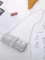 Rhinestones Evening/Party Handbags