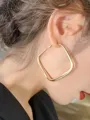 Fascinating Leather Earrings