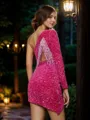 Sheath/Column Velvet Sequins One-Shoulder Long Sleeves Short/Mini Dresses
