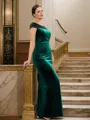 Sheath/Column Velvet Ruched V-neck Sleeveless Floor-Length Mother of the Bride Dresses