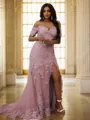 Sheath/Column Tulle Applique Off-the-Shoulder Sleeveless Sweep Train Porm Dress