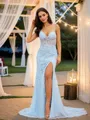 Sheath/Column Tulle Applique V-neck Sleeveless Court Train Porm Dress