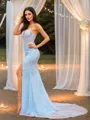 Sheath/Column Tulle Applique V-neck Sleeveless Court Train Porm Dress