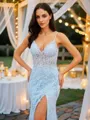 Sheath/Column Tulle Applique V-neck Sleeveless Court Train Porm Dress