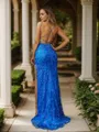 Sheath/Column Sequin V-neck sleeveless Sweep/Brush Train Dresses