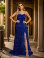 Sheath/Column Velvet Sequins Feather/Fur V-neck sleeveless Sweep/Brush Train Dresses