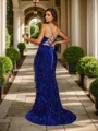 Sheath/Column Velvet Sequins Feather/Fur V-neck sleeveless Sweep/Brush Train Dresses