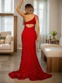 Sheath/Column Velvet Sequins One-Shoulder sleeveless Sweep/Brush Train Dresses