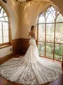 Trumpet/Mermaid Tulle Lace V-neck Sleeveless Cathedral Train Wedding Dresses