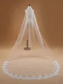 Elegant Tulle With Lace Wedding Veils