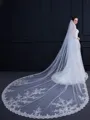 Graceful Tulle One-Tier Cathedral Bridal Veils With Applique
