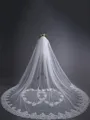 Beautiful Tulle With Lace Long Wedding Veils