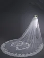 Beautiful Tulle With Lace Long Wedding Veils