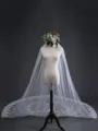 Beautiful Tulle With Lace Long Wedding Veils