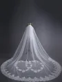 Beautiful Tulle With Lace Long Wedding Veils