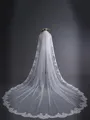 Elegant Tulle With Lace Long Wedding Veils