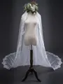 Elegant Tulle With Lace Long Wedding Veils