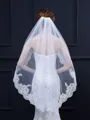 Attractive Tulle With Lace Wedding Veils