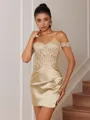 Sheath Appliques Lace Short/Mini Silk Like Satin Corset Convertible Homecoming Dress
