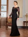 Sheath Scoop Long Sleeves Appliques Lace Floor-Length Tulle Mother of the Bride Dress