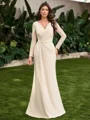 Sheath V-neck Long Sleeves Appliques Lace Floor-Length Stretch Crepe Mother of the Bride Dress