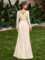 Sheath V-neck Long Sleeves Appliques Lace Floor-Length Stretch Crepe Mother of the Bride Dress